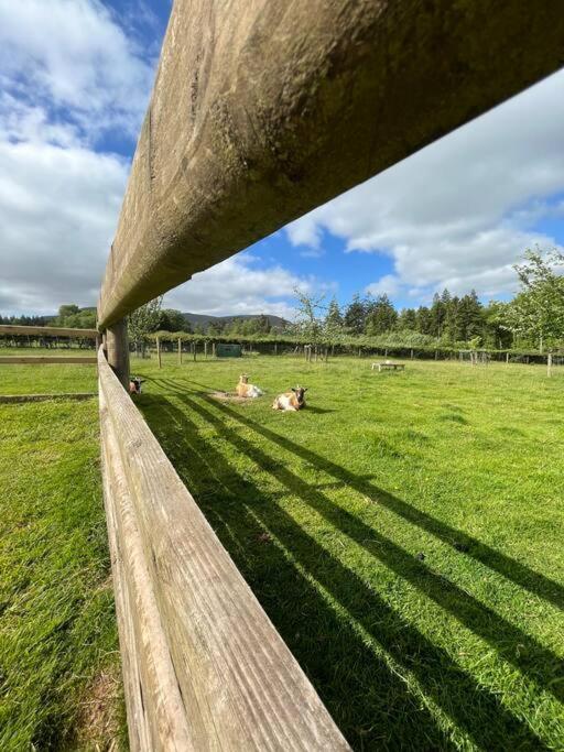 Herdmans Hideaway Brecon Esterno foto